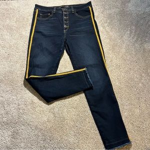 Veronica Beard Debbie Hi-Rise Skinny Button Fly Led Trim 29